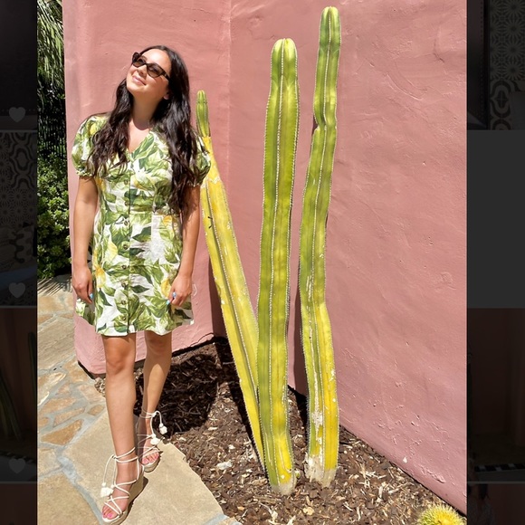 Welcome! ☀️🛍 💛 - Picture 3 of 9